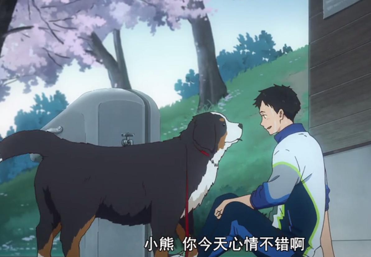 腐眼看人基，论十月番弓道部里的隐藏CP