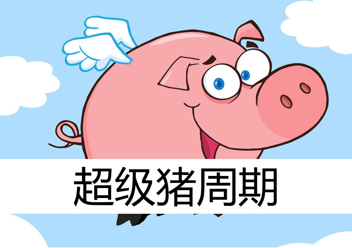 猪价还会跌多久今日猪市行情,今日猪价涨跌行情分析