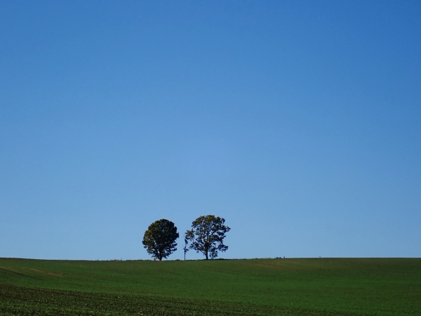 北海道登别到美瑛町需多久,日本北海道美瑛川的雪景