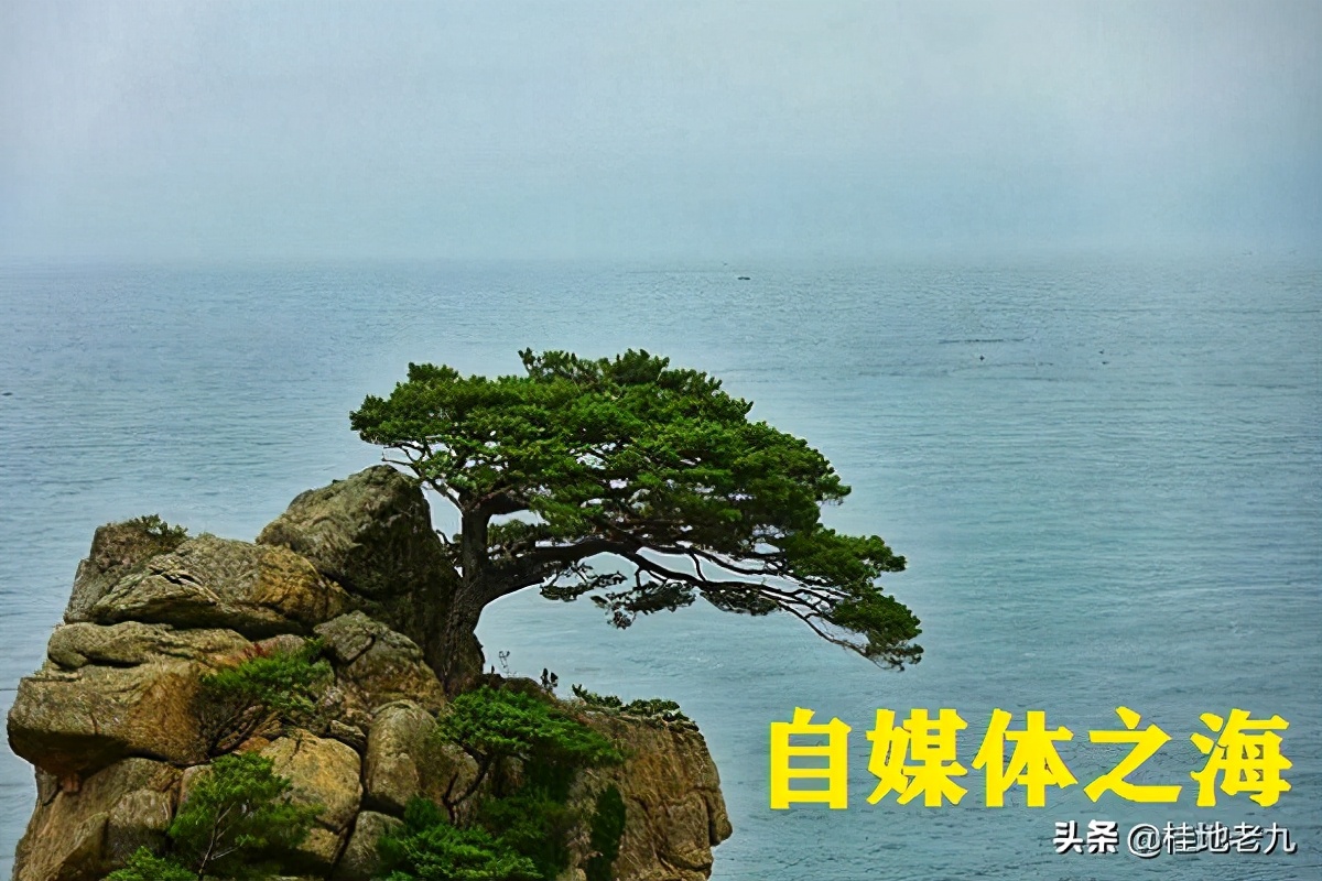 新手选择哪个自媒体平台比较好做,自媒体发布在哪些平台好