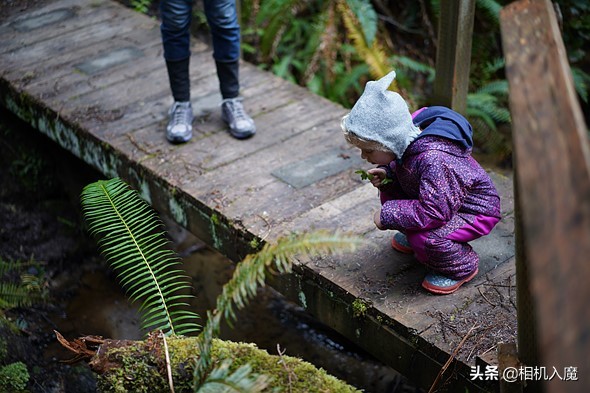 尼康z7和松下s1r怎么选,尼康z6ll和松下s5