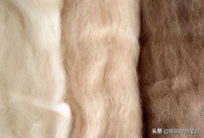 羊毛在羊身上出羊绒,羊毛出在羊身上案例