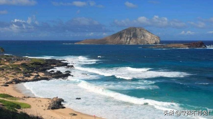 1000个冷知识大全,一张100元的钞票大概多重