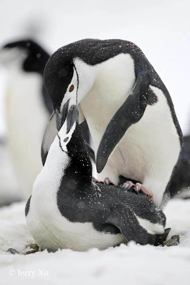 情人节，就该和爱的人*爱做**做的事