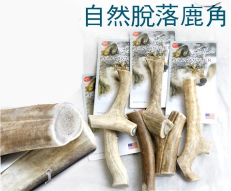 家有喵哥汪弟,体验好物帮你挑