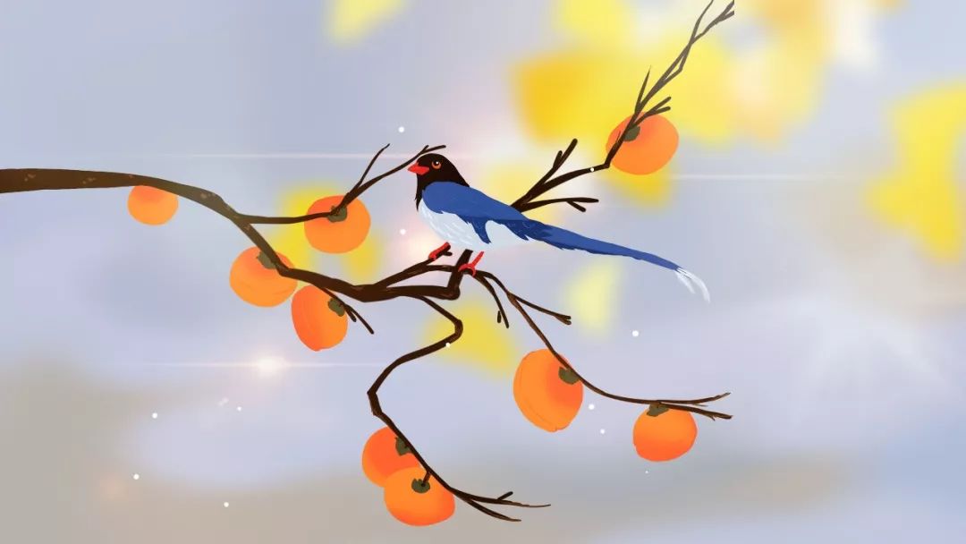 三年级上册语文修辞手法专项练习,小学语文修辞手法专项练习及答案