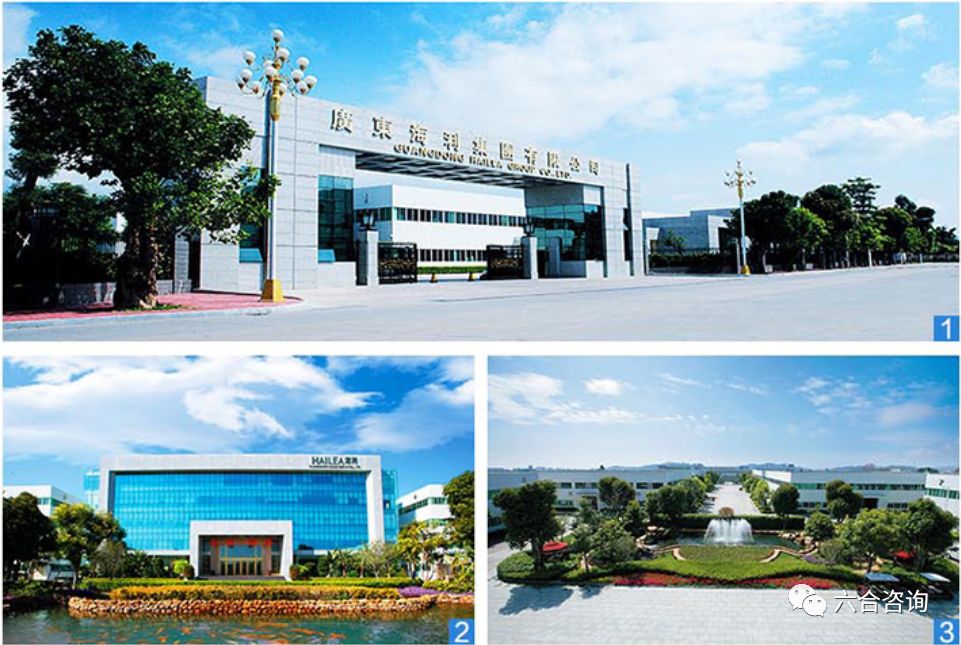 金灶烧水壶功夫茶,金灶功夫茶全套