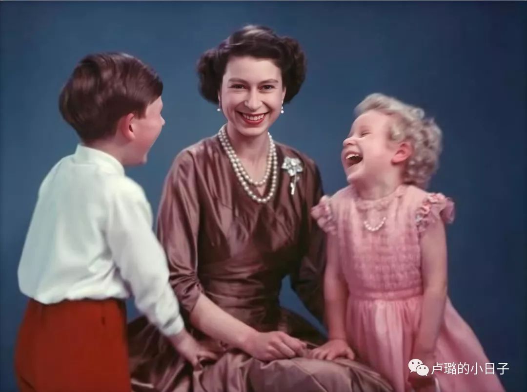 英国女王胸针高档轻奢,女王最贵胸针排行榜