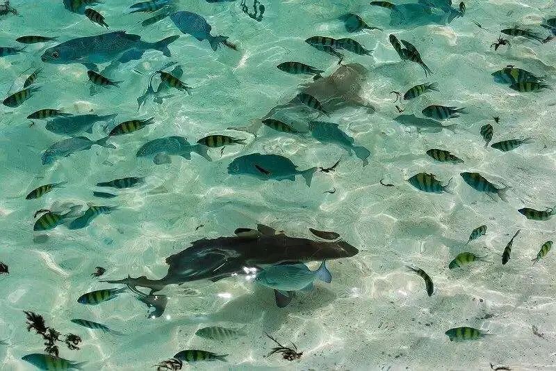 兰卡威值得去的地方,在兰卡威感受远离城市的自由