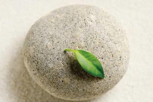 战胜癌症君,与肿瘤君抗争