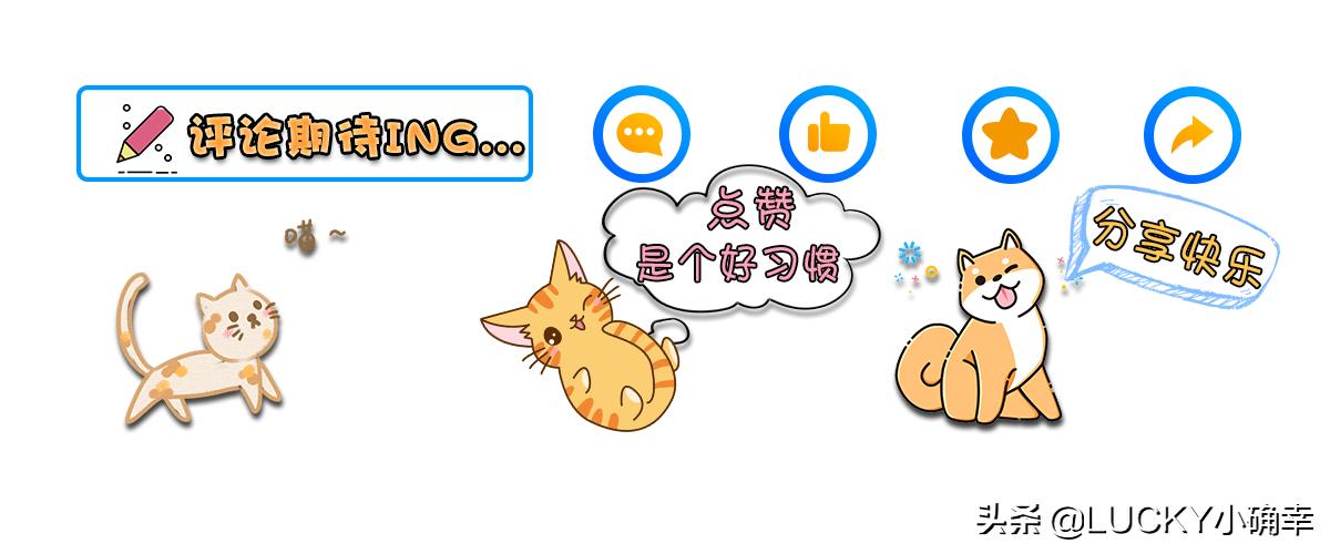 猫咪打喷嚏不用太紧张，可能只是喝水呛鼻子，怎么及时处理？