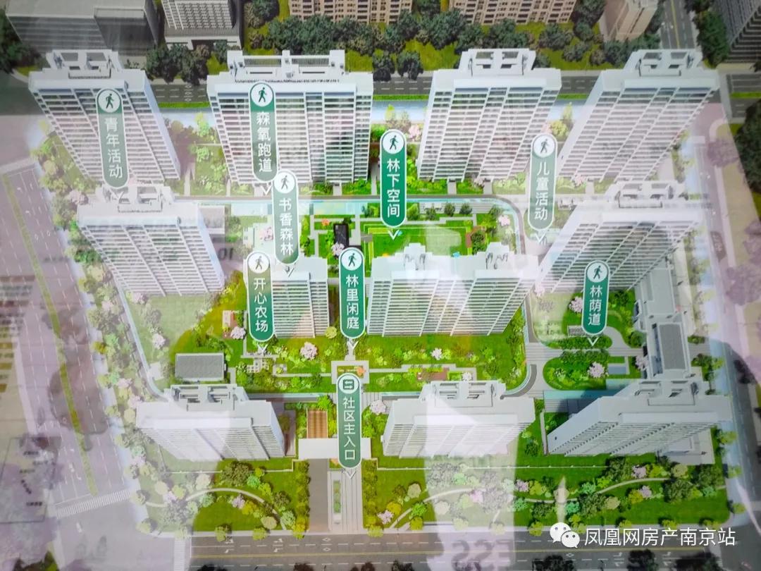 小区的开心农场,小区住户在院内玩开心农场