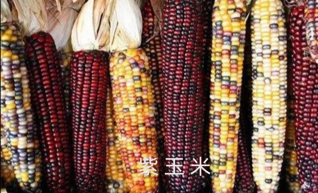 秘鲁的特色饮品是什么饮品,秘鲁传统饮食