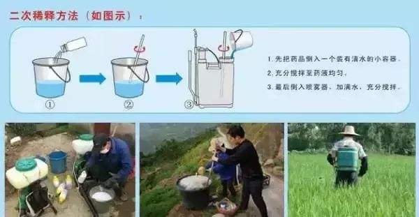 苹果打药跟没打药区别,别被神药忽悠