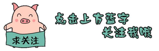 不同时期猪喂养,仔猪猪舍最好什么温度适宜