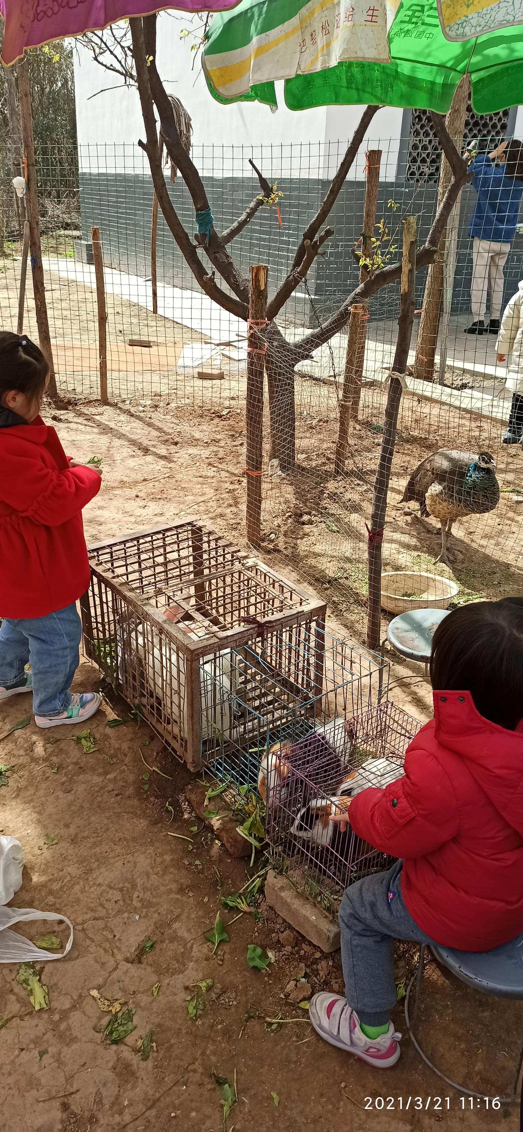 周山森林公园有啥玩的,周山森林公园游乐场招商