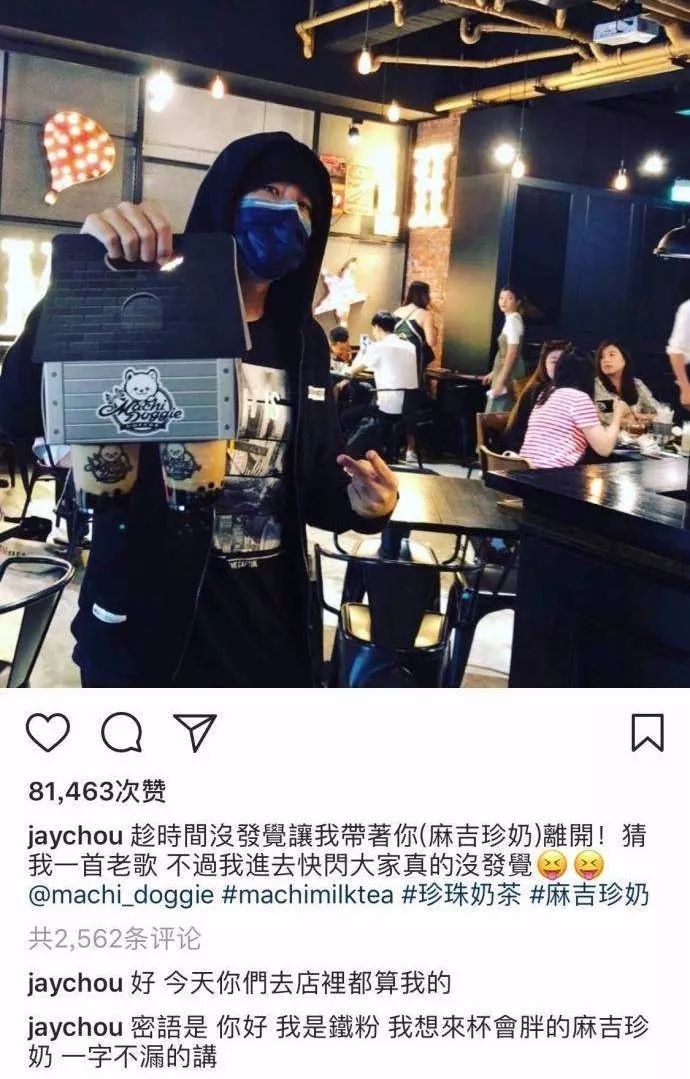 哪些明星养猫最好养,盘点明星们养的宠物