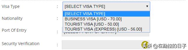 想来缅甸？请先干了这碗签证攻略！