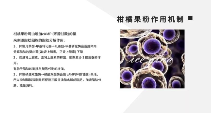 mostlytiny,微商卖假货下面代理投诉怎么办