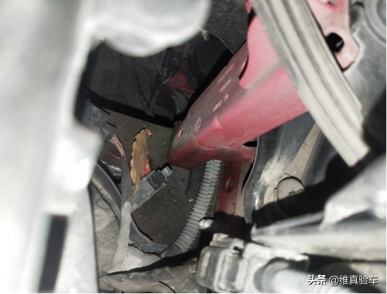 2018年甲壳虫值不值得买,小姐姐最爱的甲壳虫