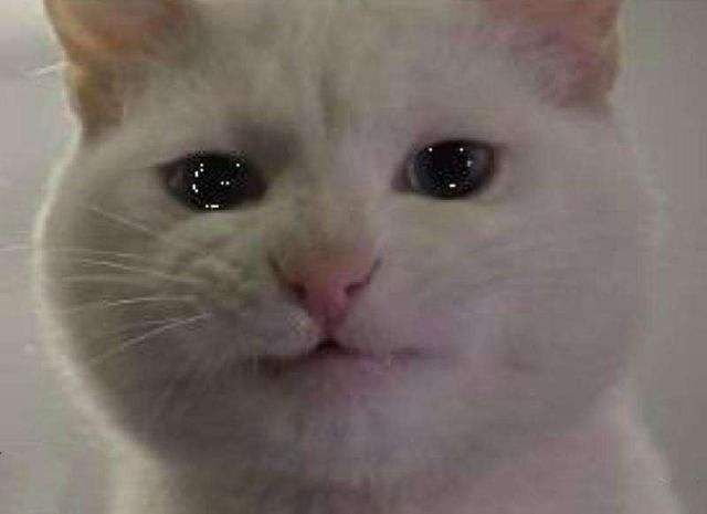 最难解说国足,最难选的选择题