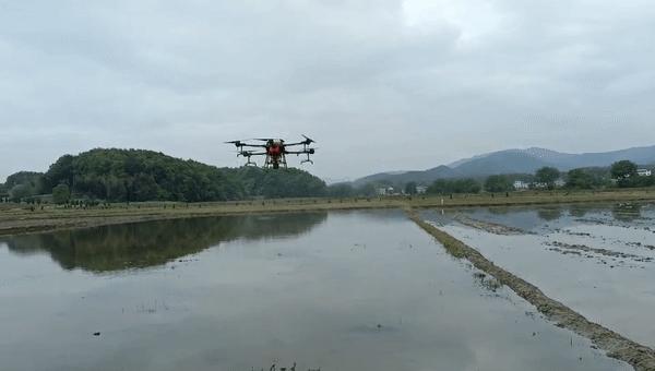 关于春日谷雨诗句,在谷雨诗词中留住最后一抹春色