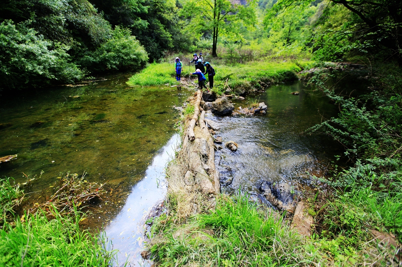 金秋野花沟在哪里,金秋野花沟照片