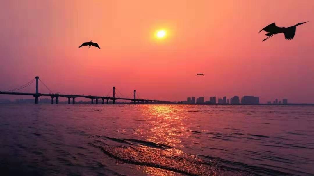 钱塘区悦东方房子怎么样,钱塘新区悦东方有升值空间吗