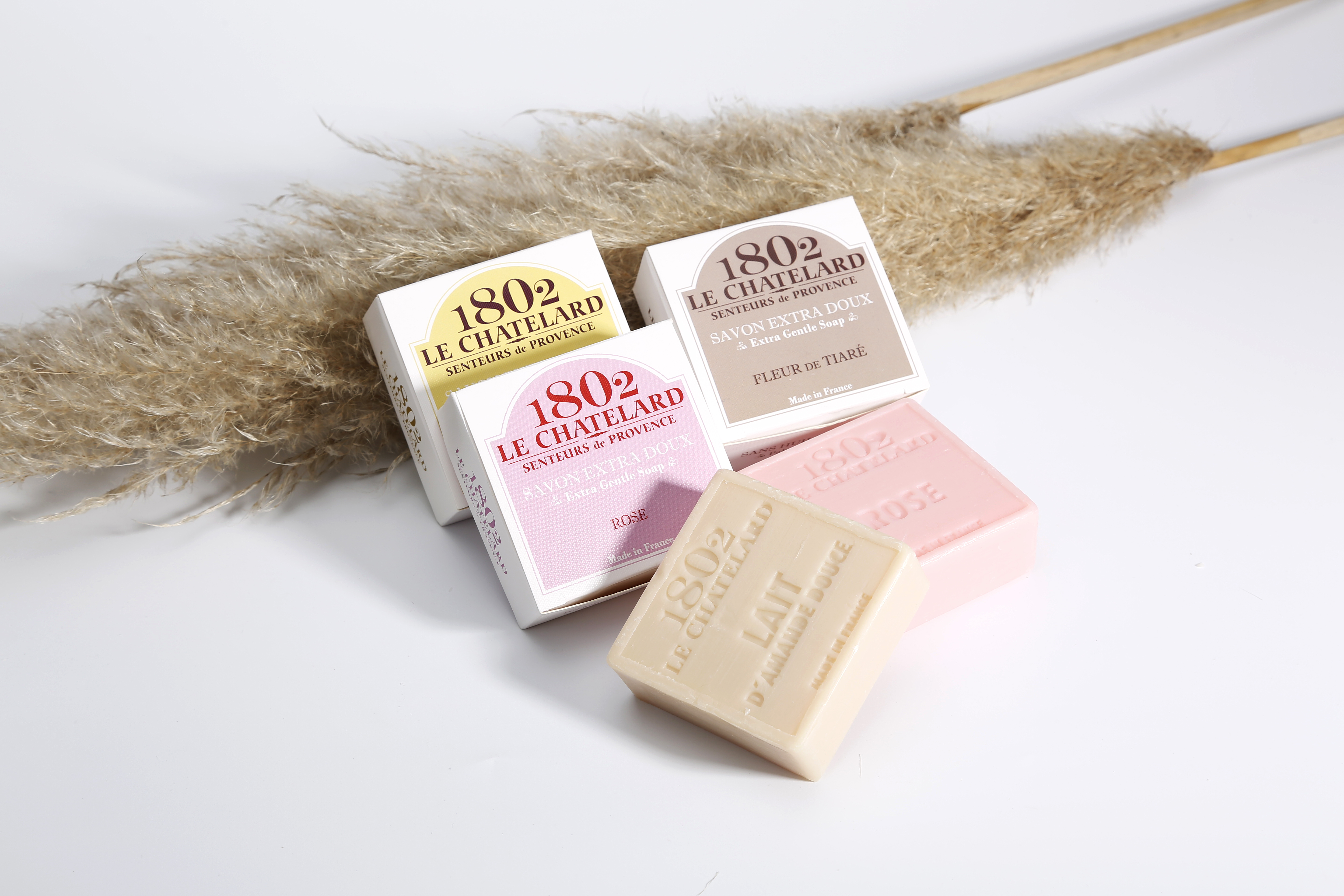 来自普罗旺斯的风,普罗旺斯的冬季气候特点