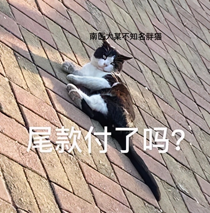 南医大景观,南医大团购活动