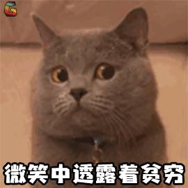 有关心脏病的纪录片,关于心脏病的纪录片