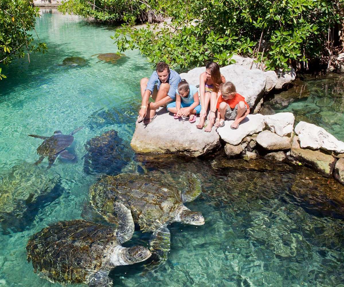 墨西哥旅游攻略亲子,墨西哥城适合孩子玩的地方