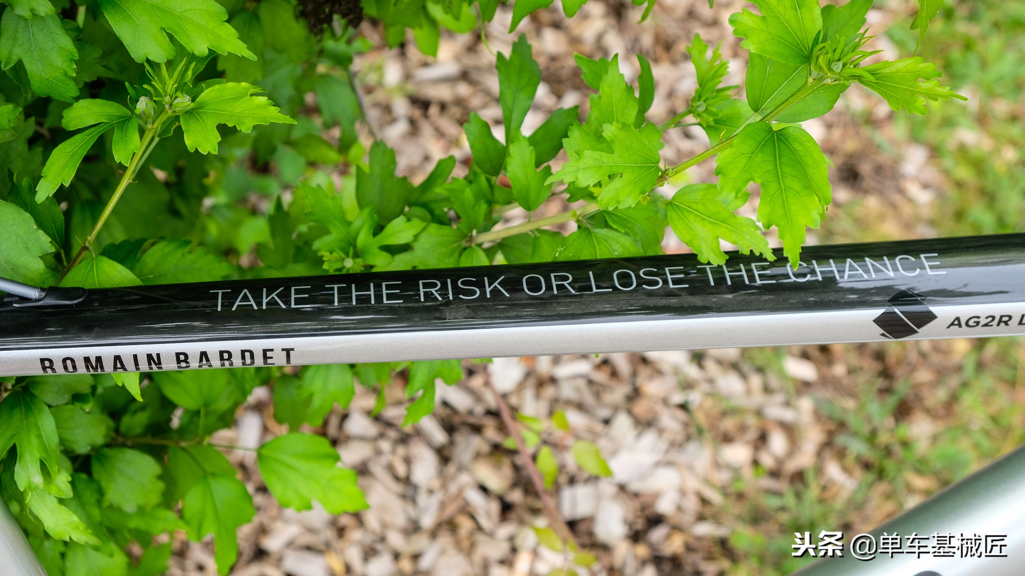 环法自行车赛的自行车,环法巴代