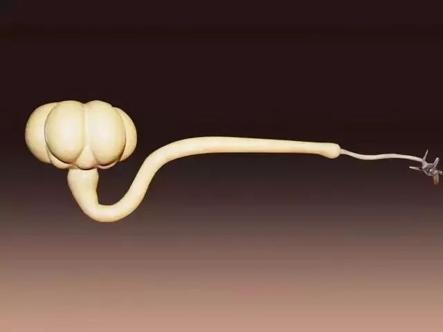 福禄与如意,福禄如意屏风