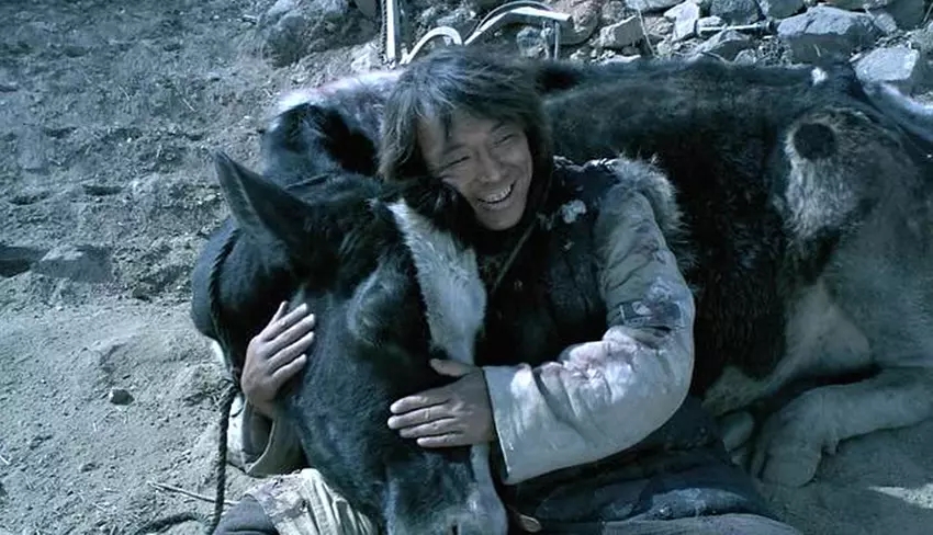 《斗牛》：苦难终将过去，只要熬下去，终会活下去