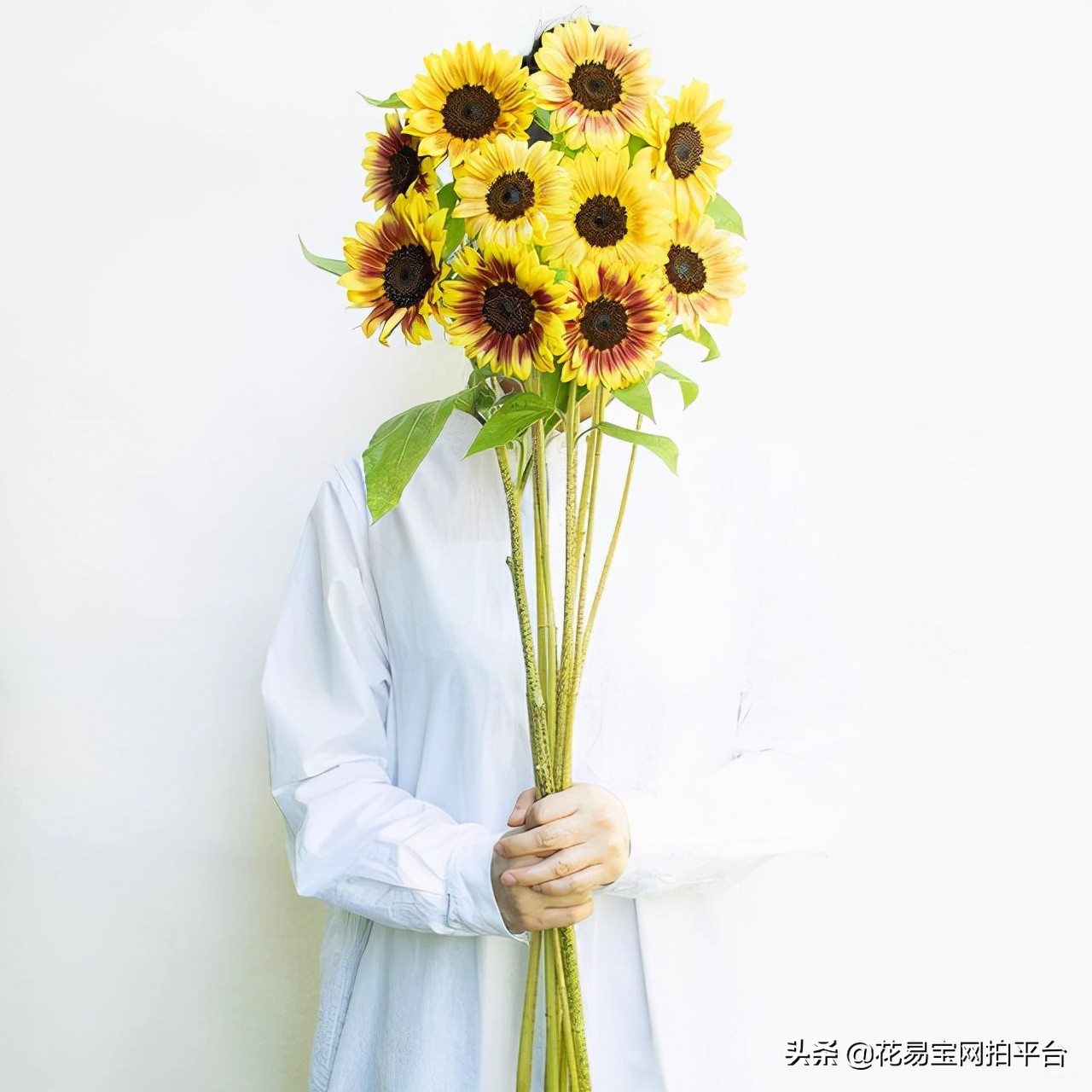 鲜花批发都有什么渠道,一般鲜花批发的都在哪个平台