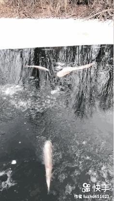 在远处和近处之间,有着属于每个人的角落