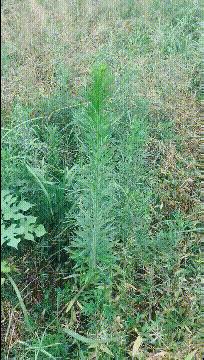 开心搞笑视频小哥哥,小哥哥搞笑视频gif