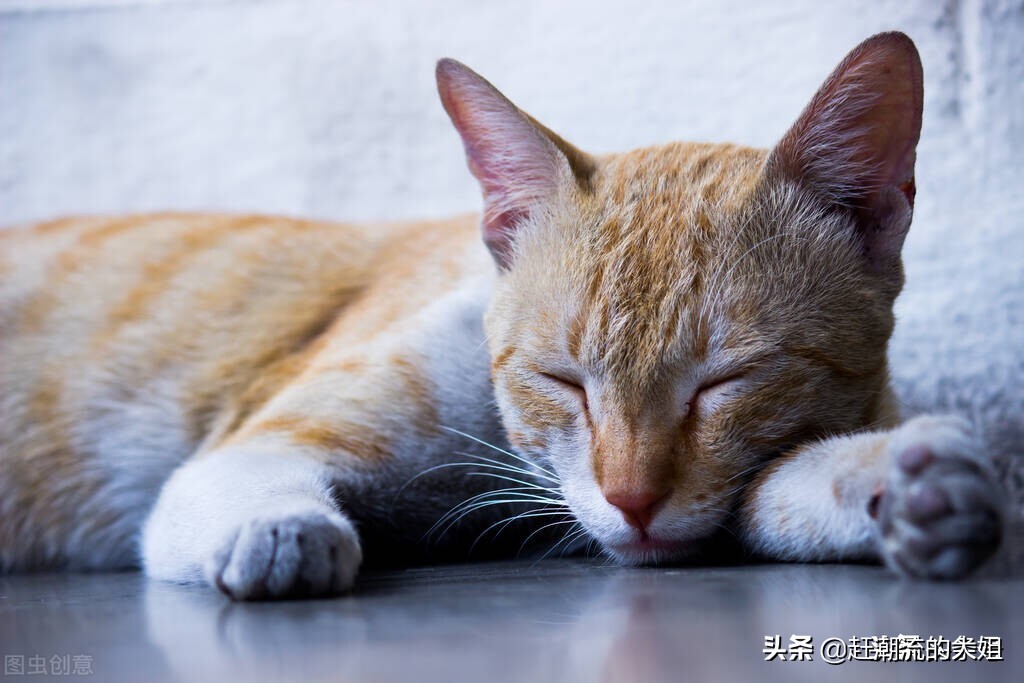 这5种东西最好不要买,不建议在网上购买的3种商品