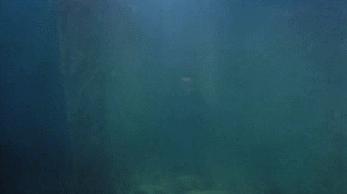 比林正英拍的僵尸片更早的僵尸片,最早的僵尸片比林正英的还好看