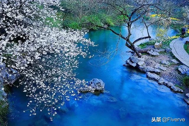 照片一放大就模糊，如何让摄影图片更加清晰？