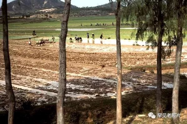 深圳市百年前的风景,百年前的深圳您见过吗