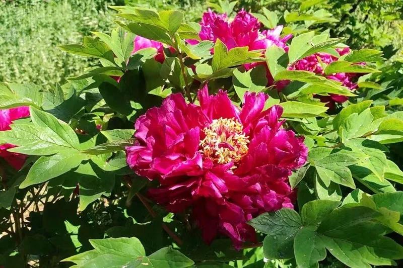 怀柔新闻最近消息,怀柔今年的新闻