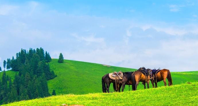 去新疆不跟团不自驾怎么玩,普通人不跟团去重庆自由行