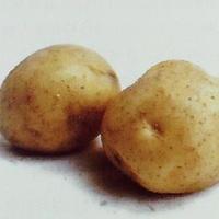 界河黑土豆紫土豆,界河紫土豆