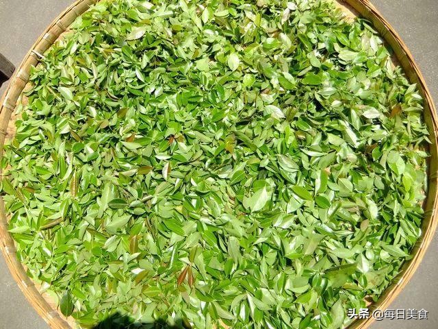 农村长在地上的野蓝莓,农村山里的一种野果