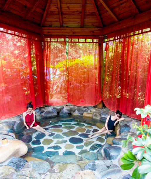 仙人街景区赏花攻略,吉尼斯打卡仙人街