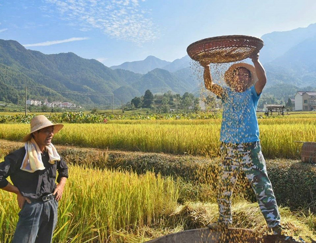 王蒙谈历法,王蒙历法