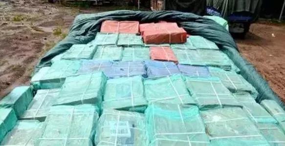 日本青提真是进口水果吗,进口品种青提100元以内1斤