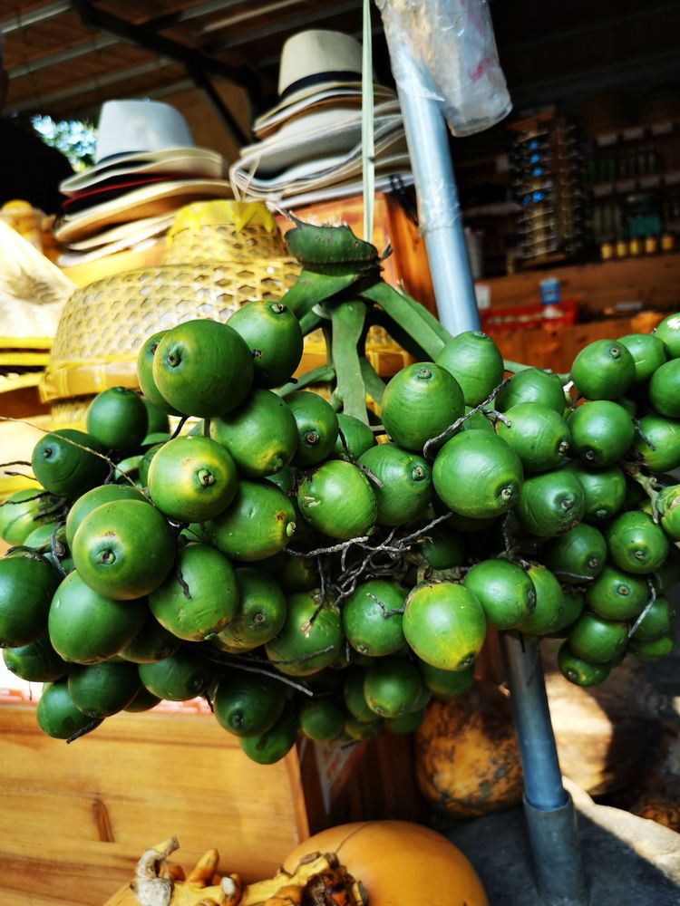 三亚冲浪旅行攻略,去三亚旅游看海